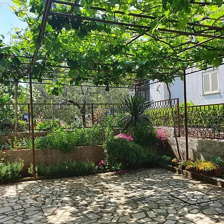 Ritosa Spadici Area 2*