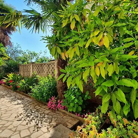 בית הארחה Ritosa Spadici Area